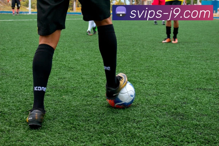 J9国际站官网APP 封面图